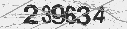Captcha 4